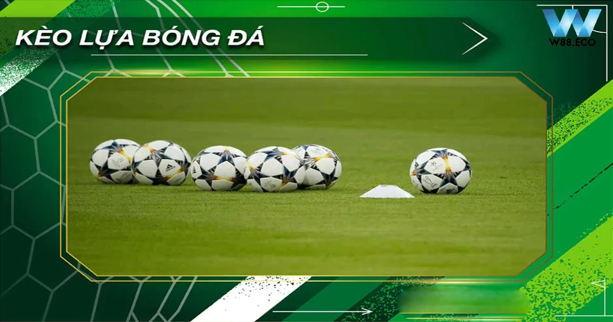 Kèo Lựa Là Gì? Sự Khác Biệt Với Các Loại Kèo Khác