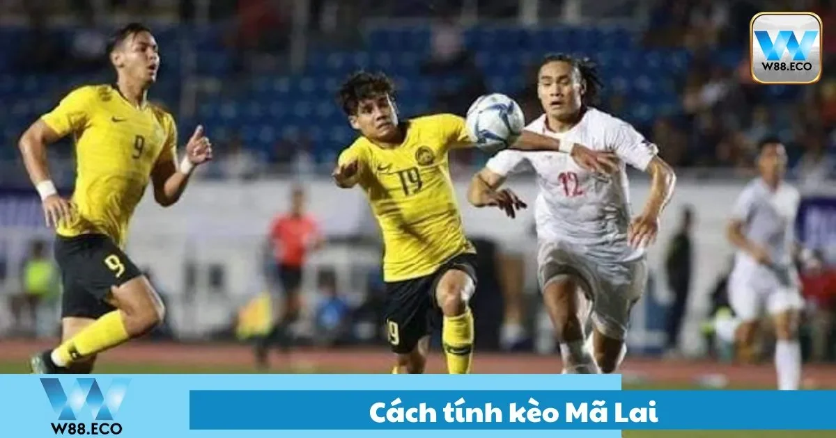 Cách tính kèo mã lai chuẩn xác